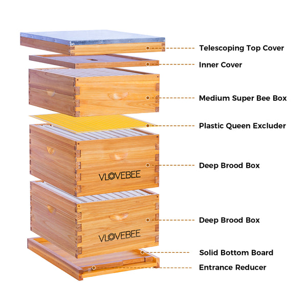 Vlovebee Hives-10 Frame 3 Layers Wax Dipped Bee Hive Include 2 Deep Boxes with Frame and Foundation , 1 Super Box with Frame and Foundation(Unassembled)