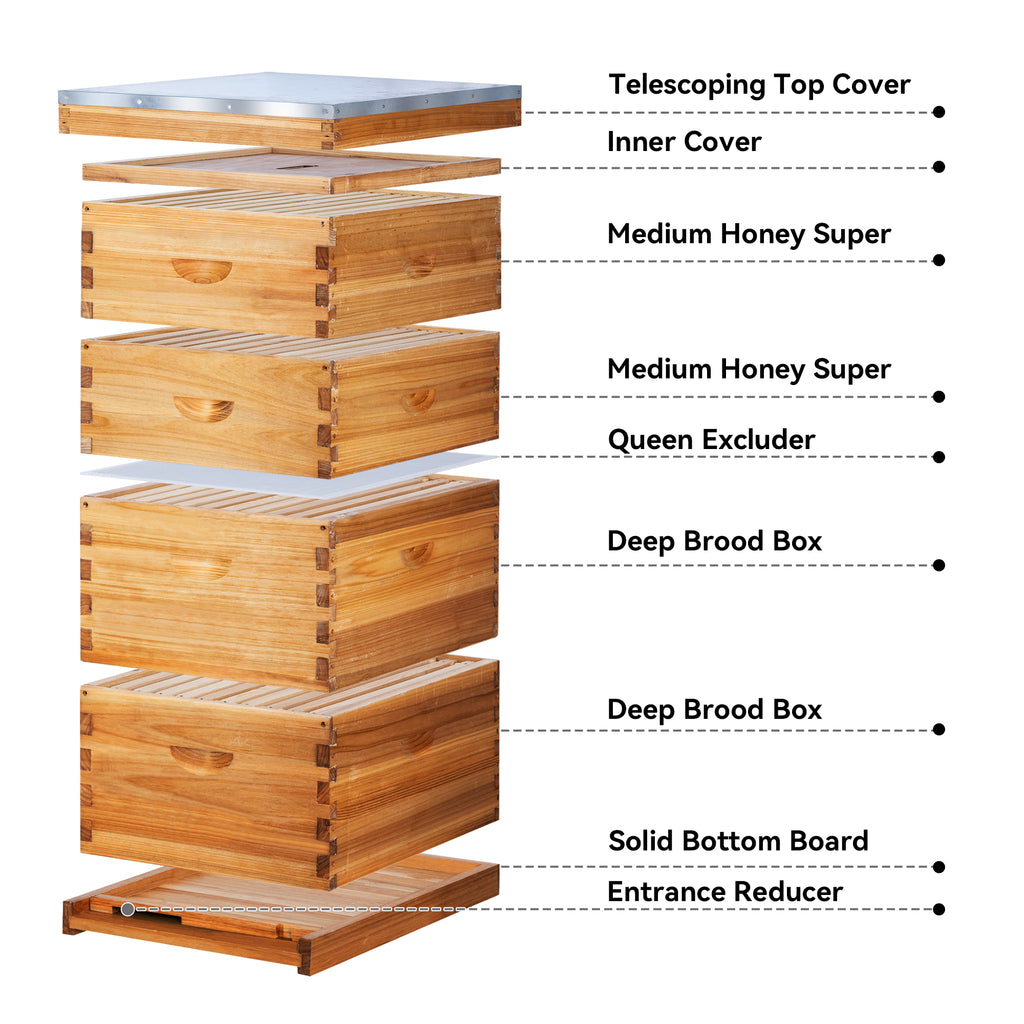 10-frame 4-box Langstroth beehive kit with 2 deep brood boxes, 2 medium supers and hive frames