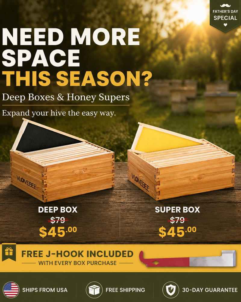 SUPER & DEEP Limited-Time Sale!
