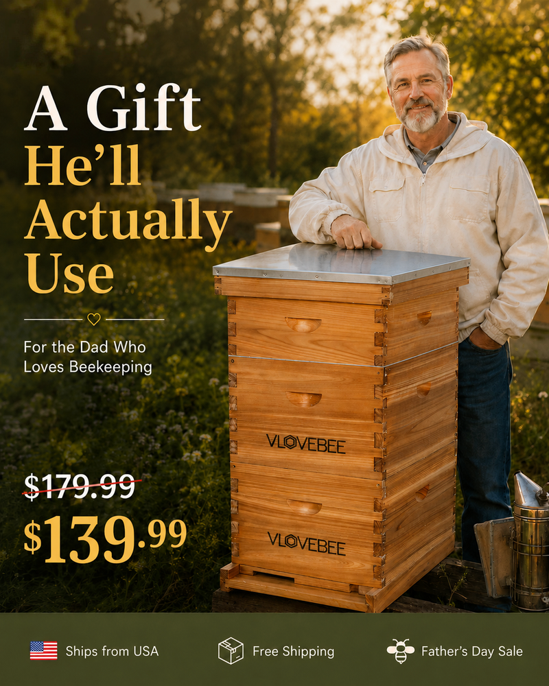 10FRAME 3 LAYER HIVE Limited-Time Sale!