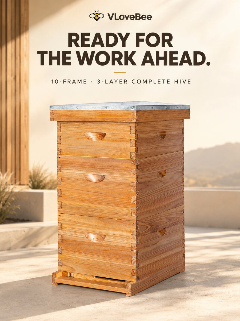 No-Logo 10 Frame 3 Layer Langstroth Hive