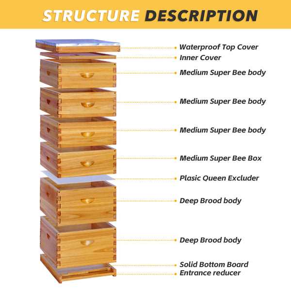 VLoveBee Professional 10-Frame 6-Layer Cedar Wood Langstroth Hive Body Kit - Complete Wax Dipped Logo-Free Beehive (Includes 2 Deeps & 4 Mediums, No Frames)